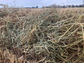 500mt Awnless Wheaten Hay 8x4x3 Bales