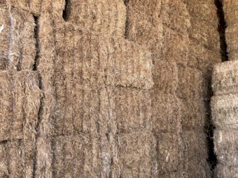 200mt Vetch Hay 600kg+ 8x4x3 Bales + Freight