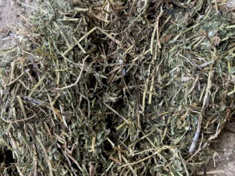 200mt Vetch Hay 600kg+ 8x4x3 Bales + Freight