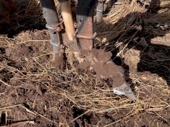 Horwood Bagshaw 35' Scaribar