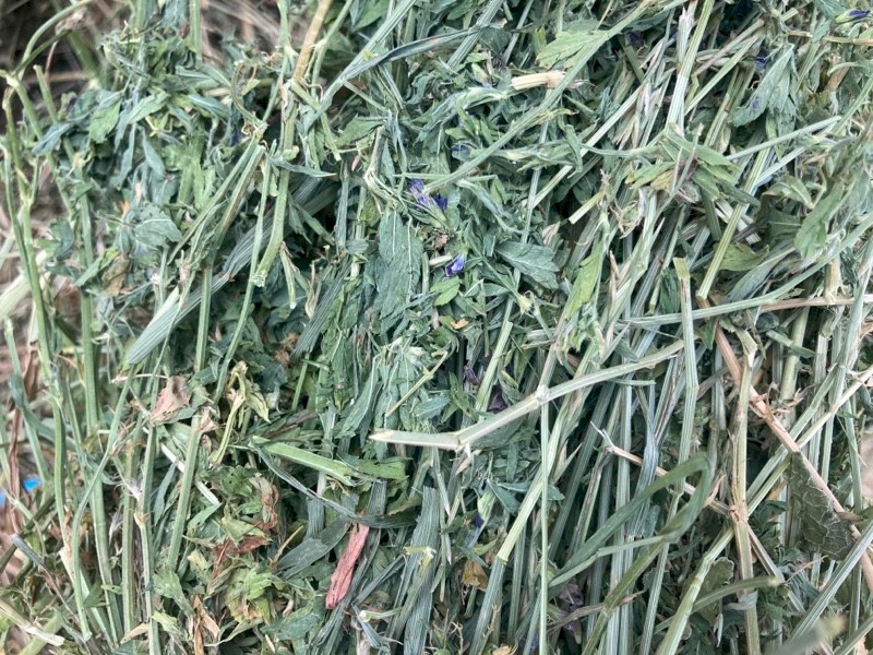 35mt Lucerne Hay 8x4x3 Bales