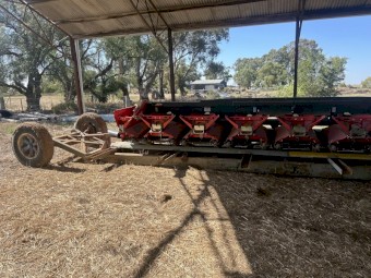 2019 Olimac 8 row Drago Maize Front