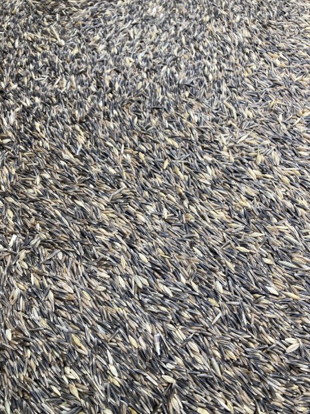Saia Oat Barley Mix