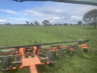 Fella TH 1101 Tedder Rake or Massey Ferguson equivalent. In reasonable to good condition.  