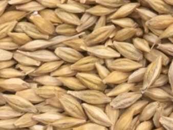 WANTED BAR1 Feed Barley