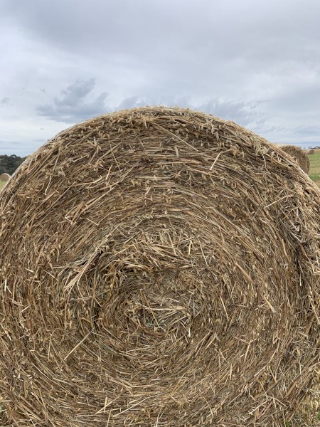 150 x Oaten Hay 5x4 Rolls