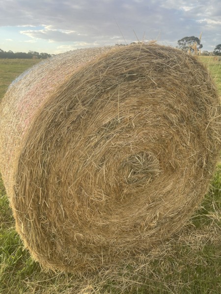 136 x Grass Hay 5x4 Rolls