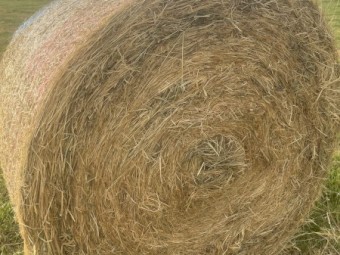 5x4 Grass Hay
