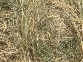 136 x Grass Hay 5x4 Rolls