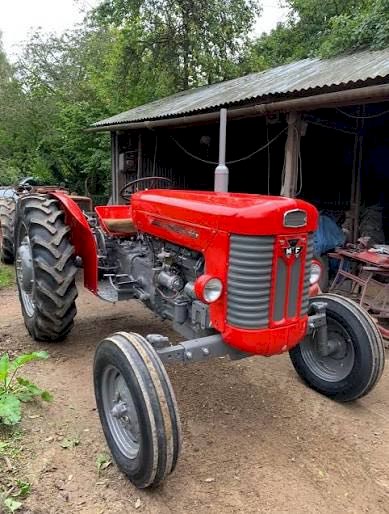 Massey Ferguson 65