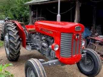 Massey Ferguson 65
