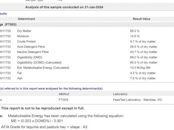 Rye Clover Hay 550kg 8x4x3 Bales