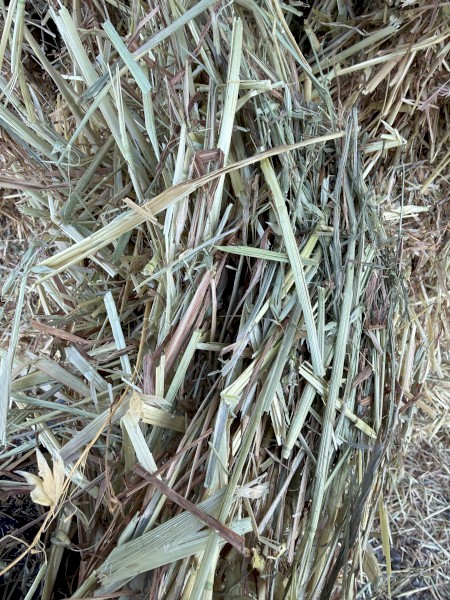 200mt Oaten Hay 500kg 8x4x3 Bales