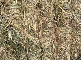 200mt Oaten Hay 500kg 8x4x3 Bales