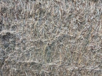 200mt Oaten Hay 500kg 8x4x3 Bales