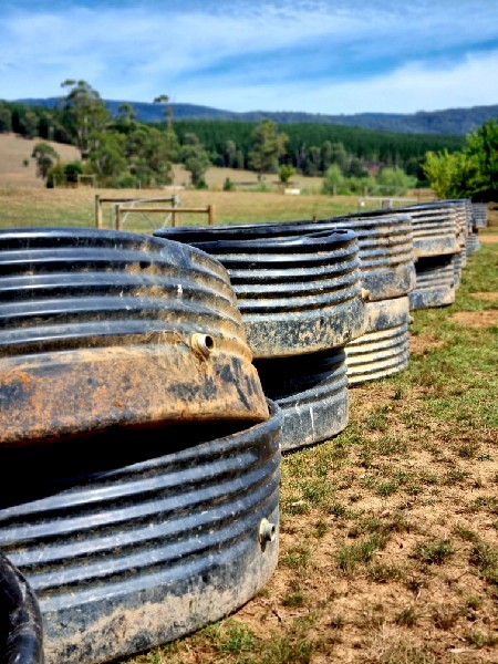 1900 Litre Stock Trough
