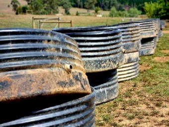1900 Litre Stock Trough