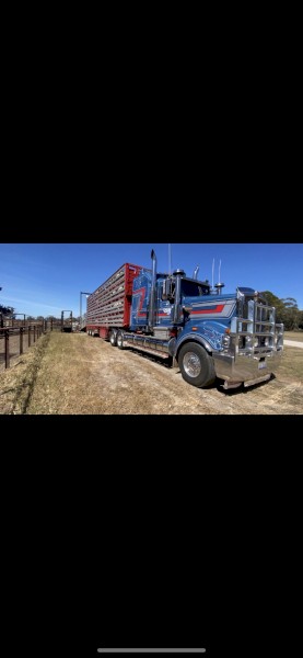 2015 Byrne 4x2 stock crate 