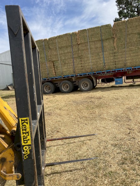 1st cut lucerne hay 