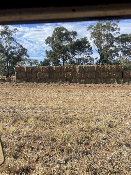 64 x Oaten Straw 8x3x3 Bales