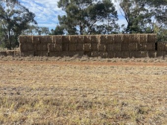 64 x Oaten Straw 8x3x3 Bales