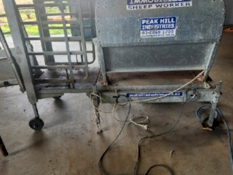 Peak Hill Sheep Immobiliser