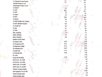 Oaten Hay  700kgs 8x4x4 200 bales