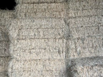 Wheaten Hay 8x4x3 Bales