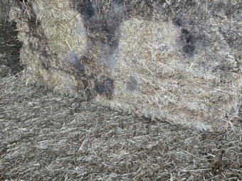 Oaten hay. Shed face bales.