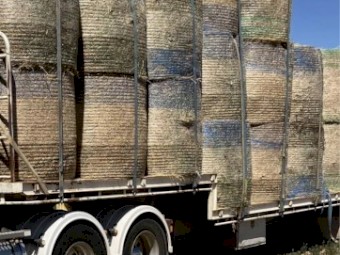 Lucerne and Rye Hay 4x4 Rolls