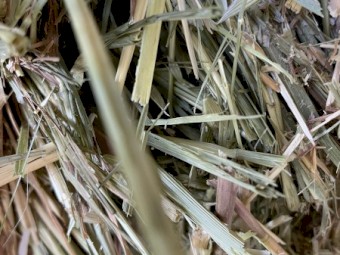 80mt Oaten Hay 8x4x3 Bales