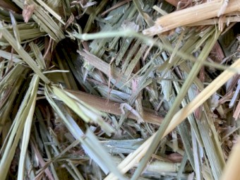 80mt Oaten Hay 8x4x3 Bales