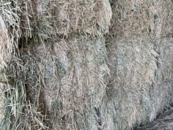 80mt Oaten Hay 8x4x3 Bales
