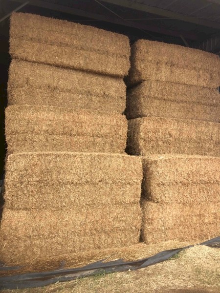 60mt Vetch Hay Baled 2019