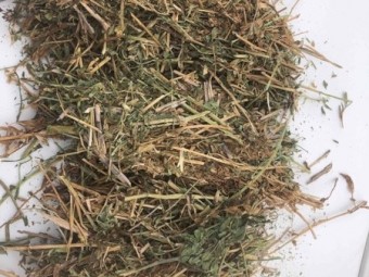60mt Vetch Hay Baled 2019