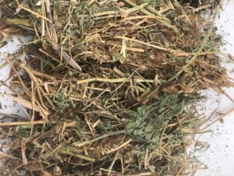 60mt Vetch Hay Baled 2019