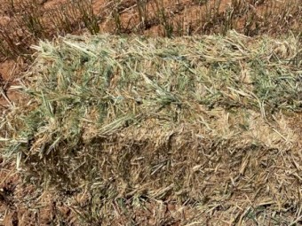 Oaten hay