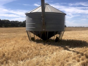 Field bin with auger