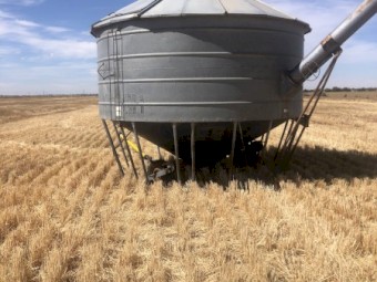 Field bin with auger