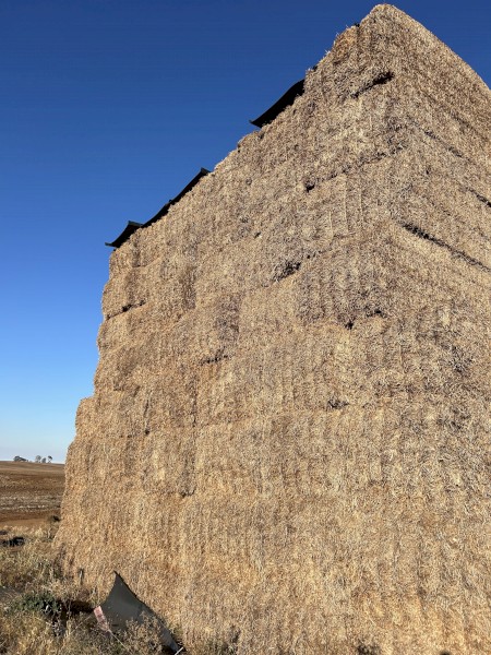 Vetch Hay 2022 Baled