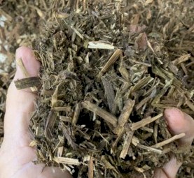 Vetch Hay 2022 Baled