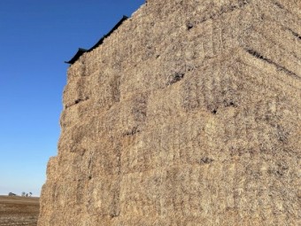 Vetch Hay 2022 Baled