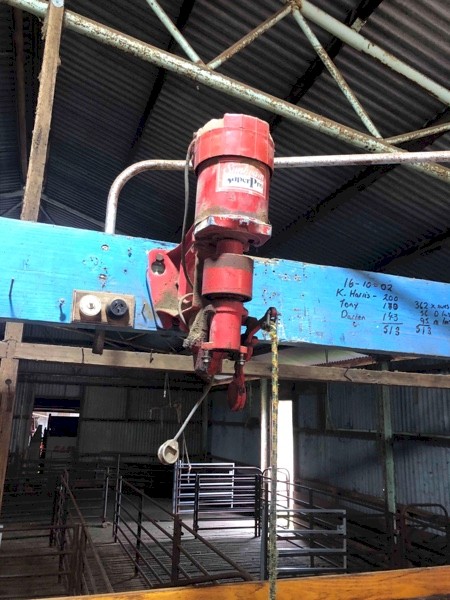 Sunbeam Super Pro Shearing Plants x 2