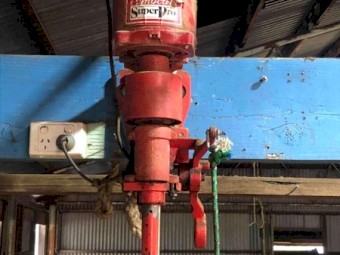 Sunbeam Super Pro Shearing Plants x 2