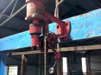 Sunbeam Super Pro Shearing Plants x 2