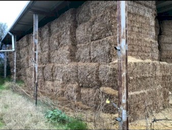 Vetch Hay 540kg 8x4x3 Bales