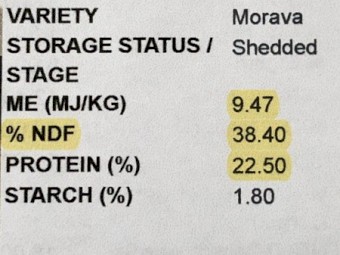 Vetch Hay 540kg 8x4x3 Bales