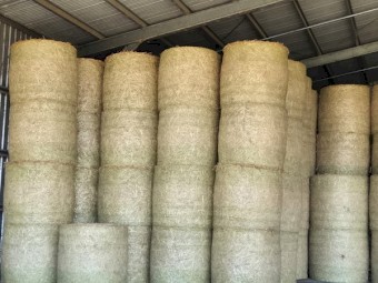 Oaten Hay 4x4 Round Bales