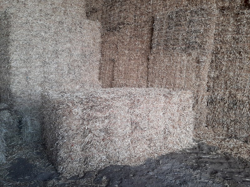 Pea Straw small squares Farm Tender