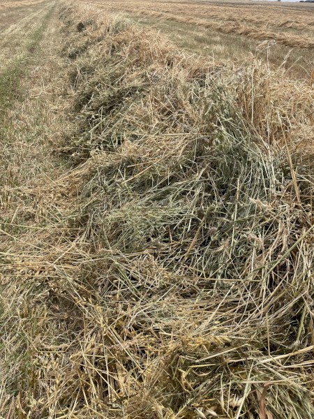 Oaten/Rye pasture rolls